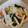 クックM96XDX☆'s cooksnap of when they made 長芋と小松菜のぽん酢和え.
