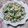 ひかちゅうpad's cooksnap of when they made ゴーヤのツナマヨわさび和え.