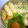 ｍｍｍマロちん's cooksnap of when they made 簡単・お弁当に☆竹輪の胡瓜詰め.