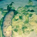 スンダラヘ's cooksnap of when they made なんちゃってザワークラウトとウインナー.