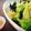 あきすとん's cooksnap of when they made すりごまドレッシングちゃん.
