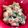 たいちゃ〜ん's cooksnap of when they made 簡単☆インゲン豆のシーチキン和え.
