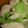 nonnnonon's cooksnap of when they made 春キャベツと鶏ささ身の中華和え.