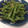 すんすん00's cooksnap of when they made うちのゴマよごし.
