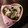 ともぱんたから's cooksnap of when they made 塩糀で☆きゅうりと新玉ねぎのマリネ♪.