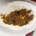 ハナチョパパ's cooksnap of when they made 簡単★☆夏野菜たっぷりキーマカレー.