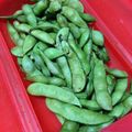 pokomaca's cooksnap of when they made ルクエで手間なしおいしい枝豆♪.