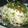 アスカチャチャ's cooksnap of when they made 納豆とろろそば.