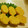 めきゃべつ's cooksnap of when they made レンジで☆とってもジューシーなだし巻き卵.