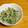 つちかな's cooksnap of when they made しらすの茗荷大葉和え.