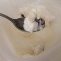 ゆうさい's cooksnap of when they made マシュマロアイス♪大人の★ラムレーズン♪.
