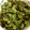 マカロン助's cooksnap of when they made 箸休めに☆さっぱりきゅうりの浅漬け.