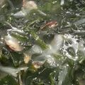 れおんトーマス's cooksnap of when they made あさりの酒蒸しwithワカメ.