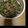 ★みーちゃんママ★'s cooksnap of when they made 夏の定番★シャキシャキインゲンそぼろ丼.
