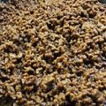 岡村キャンベル's cooksnap of when they made m我が家の定番☆肉味噌.