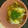 ぴよぴよlion's cooksnap of when they made ＊簡単＊牛肉の卵とじ＊.