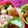 2児ママみきてぃ's cooksnap of when they made ＊美味しい＊蓮根の塩焼き＊.