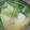 めかにか's cooksnap of when they made ✿うちの定番！じゃがニラの味噌汁✿.