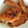 みよしコロ's cooksnap of when they made 冷めても美味しい！簡単手羽先の甘辛煮.