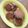 おいしくなりたい's cooksnap of when they made こしあん救済（笑）カリふわ？クッキー.