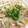 のんびりたいちくん's cooksnap of when they made 鶏もも肉の白ネギ炒め.