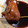 pacopipi's cooksnap of when they made 簡単イカめし.