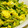 mmameco's cooksnap of when they made 我が家の中華✿きゅうりと卵の炒め.