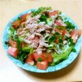 ままみっき～'s cooksnap of when they made アッサリ(*^^*)冷たいうどん♪.