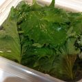ちあきのき's cooksnap of when they made 簡単♪大葉の保存.