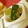 мока♪'s cooksnap of when they made きゅうりとみょうがの揉み浸け.