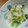 noamanma's cooksnap of when they made ほうれん草と切干大根の酢の物.