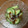 KADOちゃん's cooksnap of when they made もずくときゅうりの酢の物.
