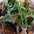 chocorila's cooksnap of when they made 簡単おかず❀茄子と厚揚げのほっこり煮❀.