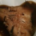 ドナルディーズ's cooksnap of when they made カレイの煮付け.
