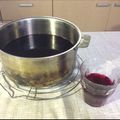 秩父山人's cooksnap of when they made 赤紫蘇ジュース.