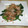いくちゃん●^▽^●'s cooksnap of when they made ほうれん草のごま和え.