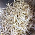 快晴湘南食堂's cooksnap of when they made もやし下処理.