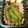 82tarou's cooksnap of when they made インゲンのくたくた煮.