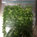 まんねりゆきちゃん's cooksnap of when they made ★冷凍保存★万能ネギ.