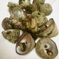 ミリラム's cooksnap of when they made しったかの塩茹で.