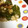 サトモユリア's cooksnap of when they made ピーマンの簡単丸ごとツナマヨ詰め.