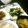 2児ママみきてぃ's cooksnap of when they made 麺つゆ＆ごま油だけ！*簡単和風ナムル*.