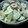 nekoにごはん's cooksnap of when they made 簡単！ちくわときゅうりのわさびマヨ和え.