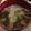 うさこママ★'s cooksnap of when they made オクラ・キャベツ・わかめの味噌汁.