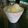 White-Plumeria's cooksnap of when they made ☆*☆　柚子シャーベット　☆*☆彡.