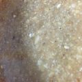 ゆこぱんぱん's cooksnap of when they made しゃぶしゃぶのたれ★ニンニク味噌だれ★.