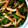 お犬様5's cooksnap of when they made 十六豆としめじの胡麻和え.