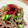 くーちゃん∪･ω･∪'s cooksnap of when they made 梅と鰹節とオクラのダイエット蕎麦☆.