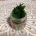 まくのうち's cooksnap of when they made しその保存.