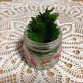 まくのうち's cooksnap of when they made しその保存.